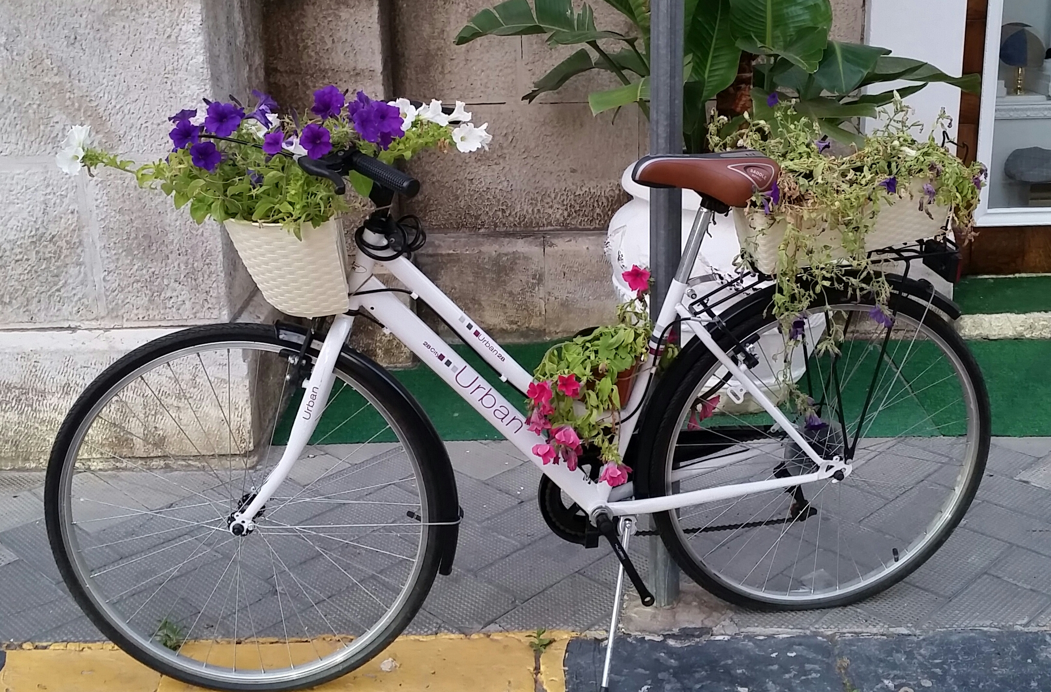 2017-6-29+ Monopoli, Italy2 2017-6-29+ Monopoli, Italy2